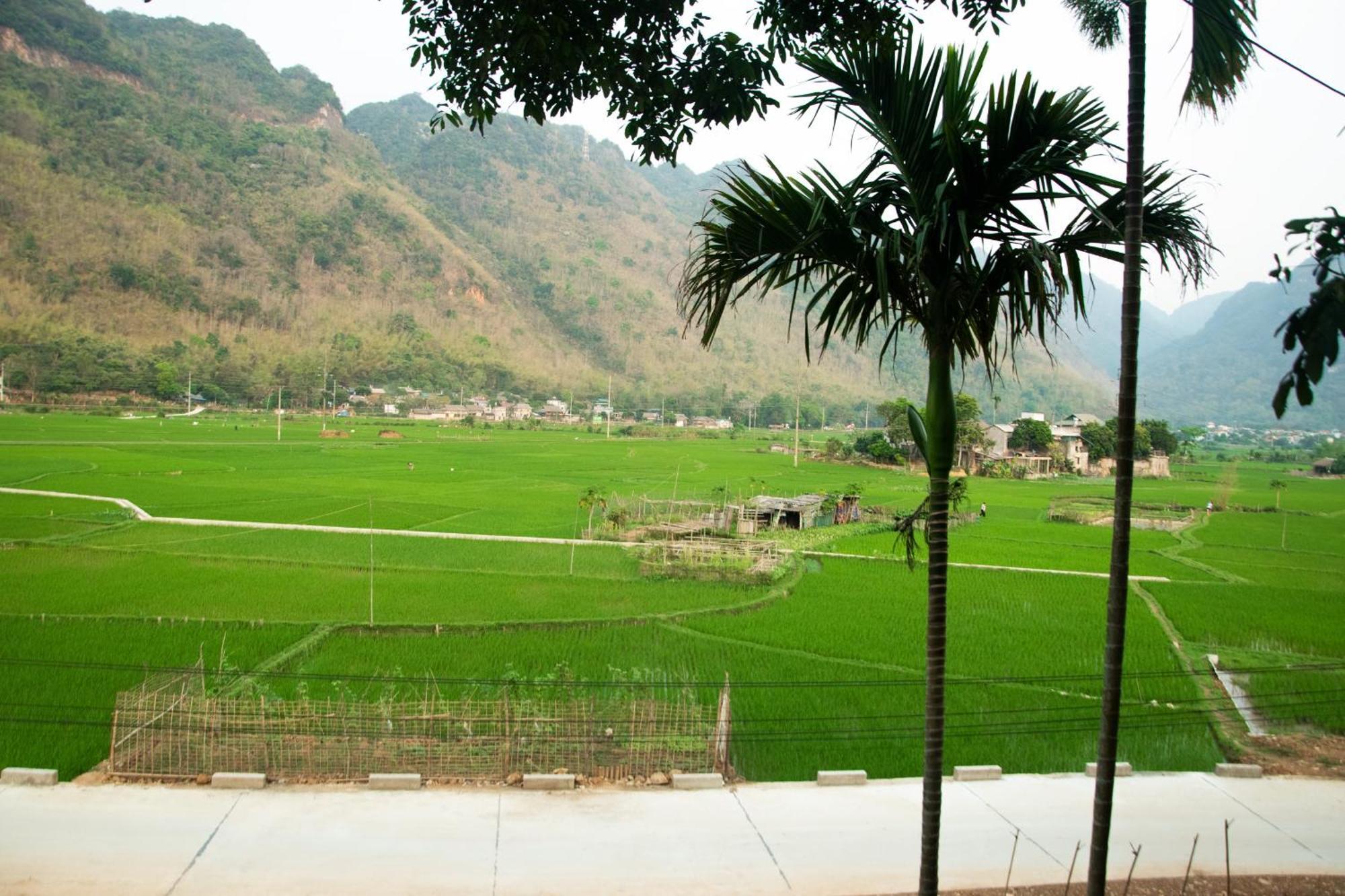 Mai Chau La Vida Homestay מראה חיצוני תמונה